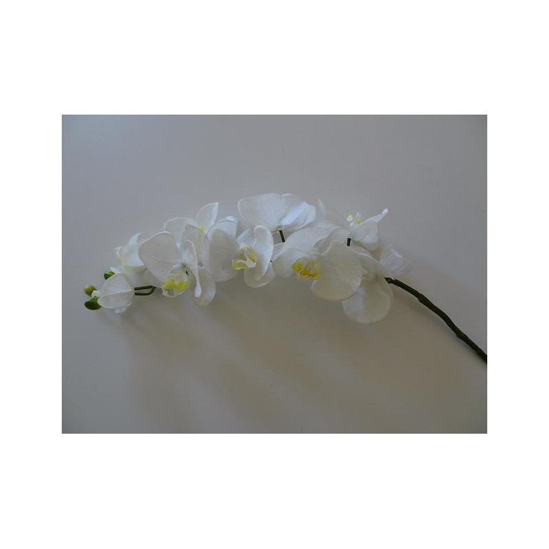 Orchidée blanche artificiel